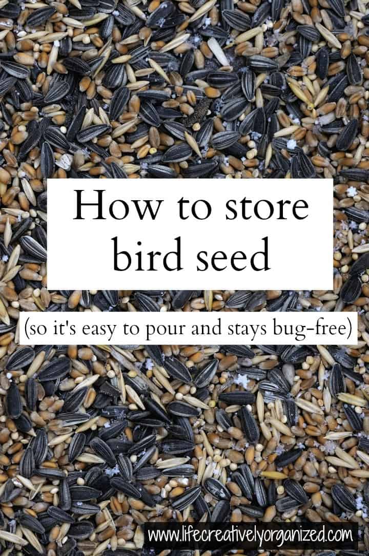 How to store bird seed