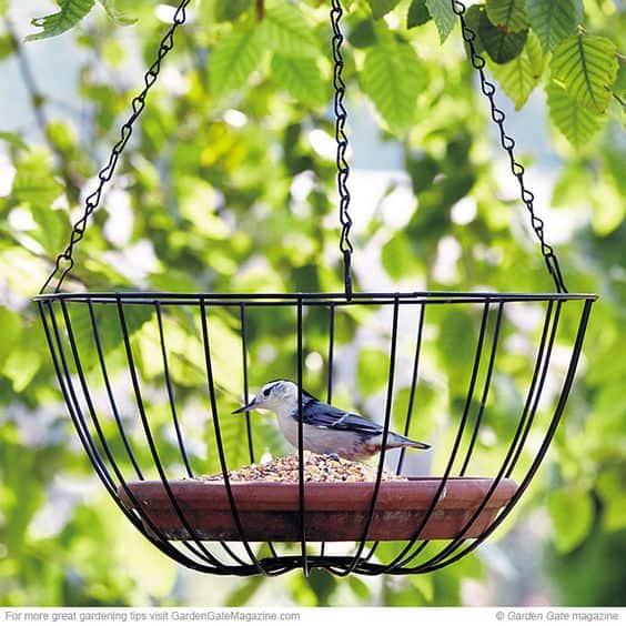 basket-bird-feeder