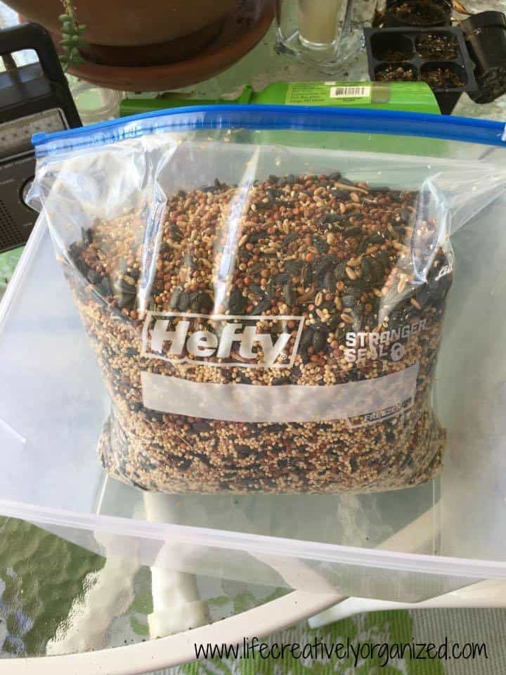 filled-bag-bird-seed